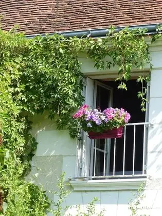 Traditional Üç Kişilik Oda (Saumon)