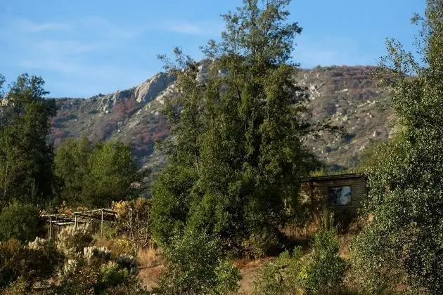 Panoramic Kulübe