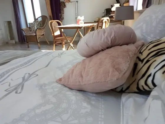 Romantic Tek Büyük Yataklı Oda