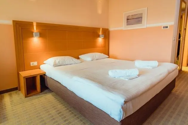 Standard Tek Büyük Yataklı Oda, Park Manzaralı