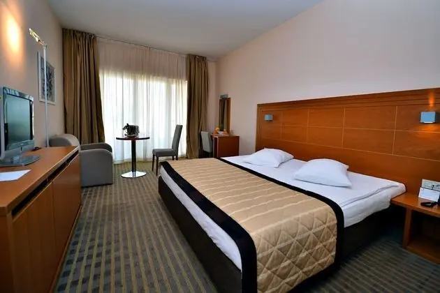 Standard Tek Büyük Yataklı Oda, Park Manzaralı