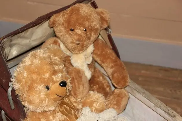 Tek Büyük Yataklı Oda (Madeleine)