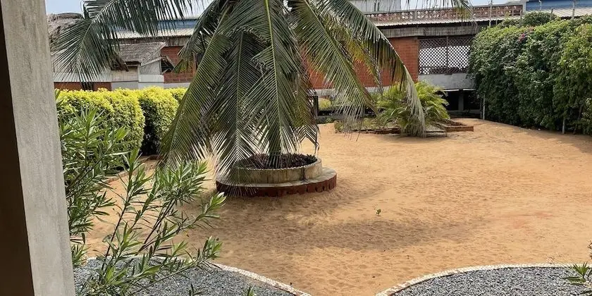Standard Oda (Bagheera)