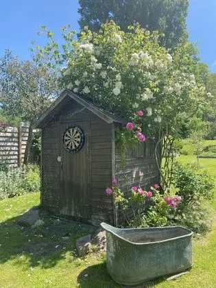 Superior Üç Kişilik Oda, Banyolu/Duşlu