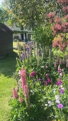 Superior Üç Kişilik Oda, Banyolu/Duşlu