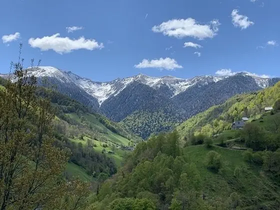 Tek Büyük Yataklı Oda (Savane)