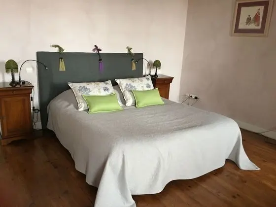Tek Büyük Yataklı Oda, Banyolu/Duşlu (Chambre Anaïs)
