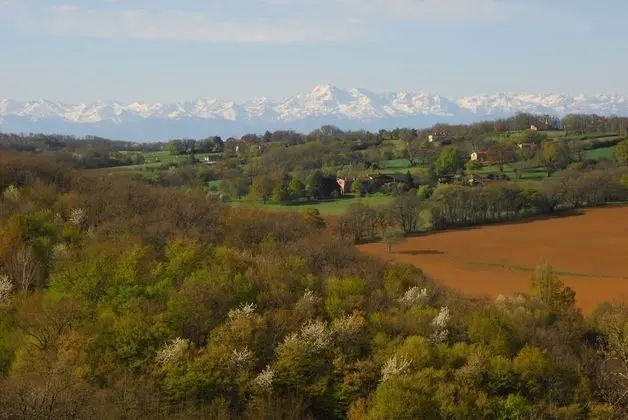 Tek Büyük Yataklı Oda (Artemis)
