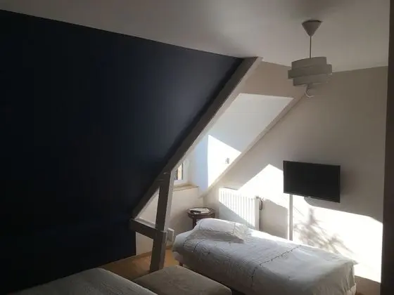 Comfort Üç Kişilik Oda, Özel Banyo, Bahçe Manzaralı