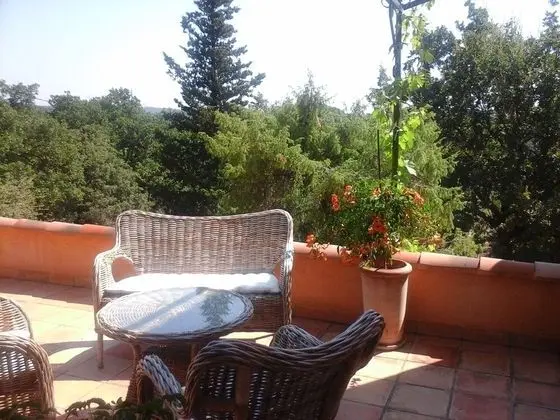 Oda, Teras (Treille)