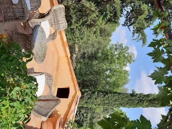 Oda, Teras (Treille)