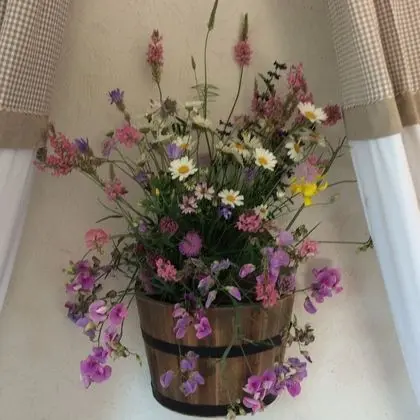 Oda, Teras (Treille)