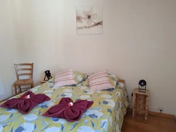 Standard Tek Büyük Yataklı Oda, Ortak Banyo (Chambre  JUL)