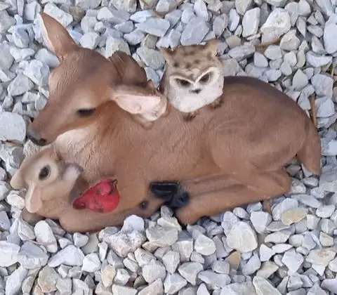 Standard Tek Büyük Yataklı Oda, Ortak Banyo (Chambre  JUL)
