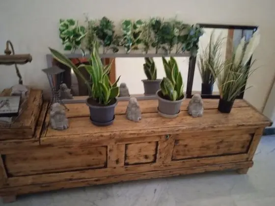 Standard Üç Kişilik Oda, Ortak Banyo, Bahçe Manzaralı