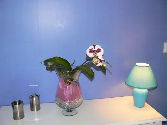 Tek Büyük Yataklı Oda (Mélanie)