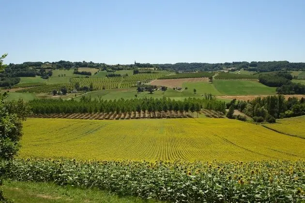 Süit, 3 Yatak Odası (Lartigue)