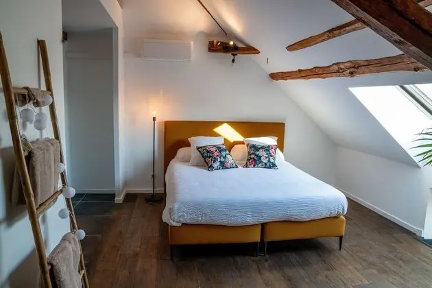 Luxury Tek Büyük Yataklı Oda (Chambre Deluxe)
