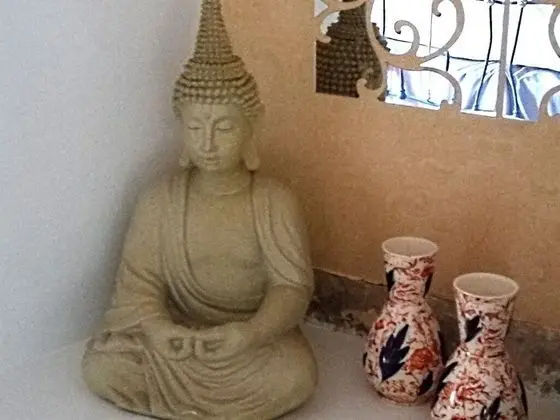 Superior Tek Büyük Yataklı Oda, Banyolu/Duşlu