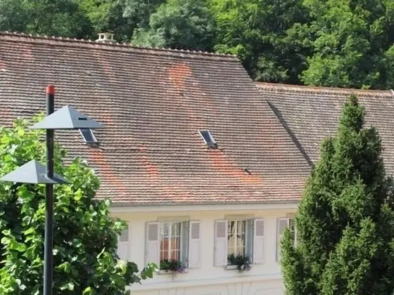 Deluxe Kır Evi, Özel Banyo, Dağ Manzaralı (Sud Alsace)