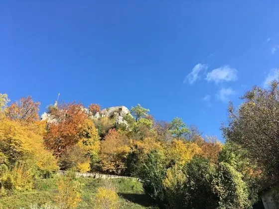 Deluxe Kır Evi, Özel Banyo, Dağ Manzaralı (Sud Alsace)