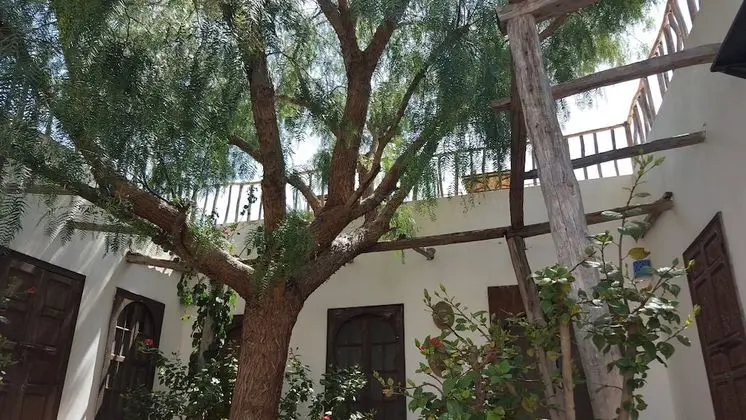 Villa, 5 Yatak Odası