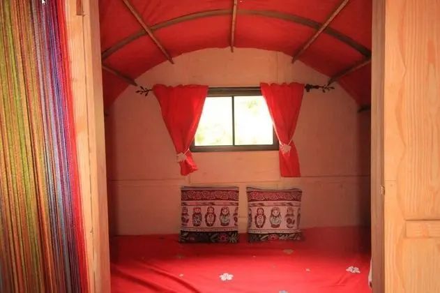 Kulübe