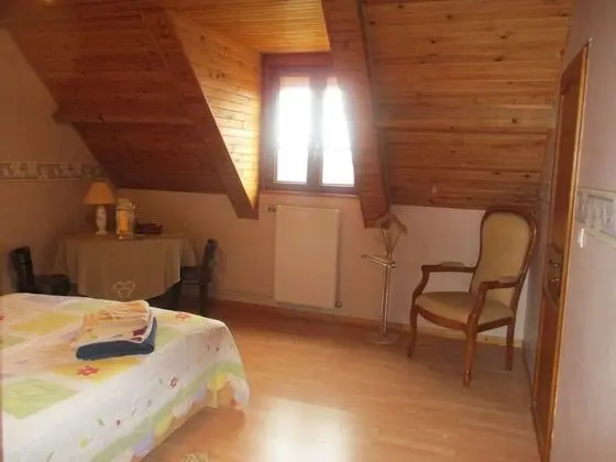 Superior Tek Büyük Yataklı Oda (VIOLETTE)