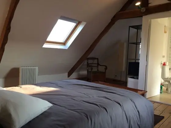 Comfort Tek Büyük Yataklı Oda, 1 Çift Kişilik Yatak, Sigara İçilmez (Tribord)