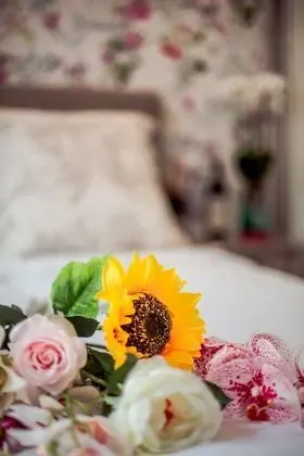 Deluxe Süit, 1 Yatak Odası, Özel Banyo