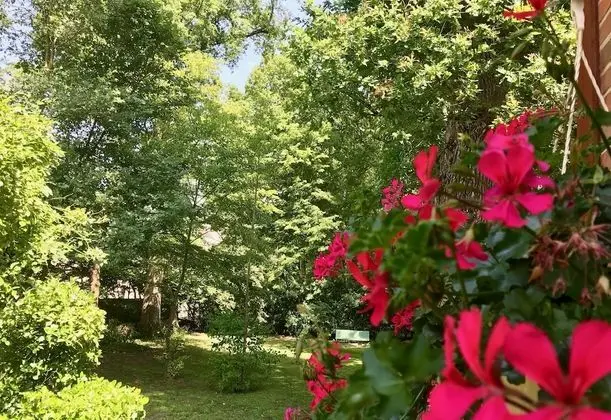 Oda (Des Panthères)