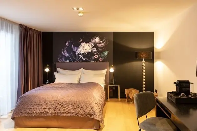 Tek Büyük Yataklı Oda, Balkon, Avlu Manzaralı (Light)