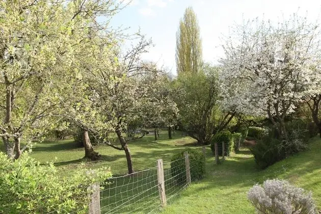 Standard Tek Büyük Yataklı Oda, 1 Çift Kişilik Yatak, Bahçe Manzaralı