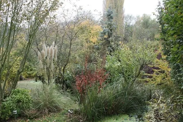 Standard Üç Kişilik Oda, Teras, Bahçe Manzaralı