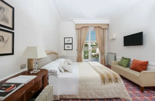 Superior Tek Büyük veya İki Ayrı Yataklı Oda, Balkon, Park Manzaralı