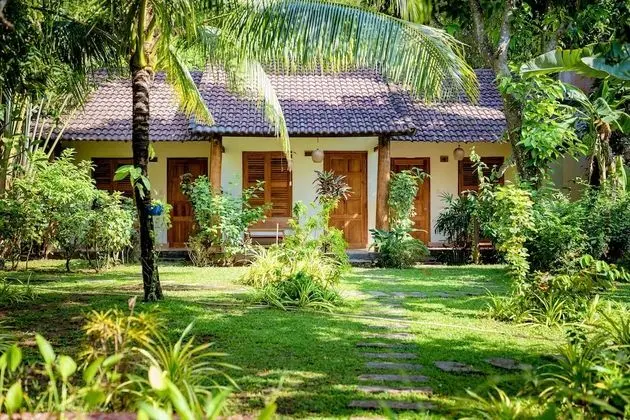 Superior Bungalov, Bahçe Manzaralı