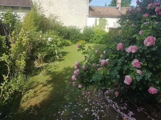 Comfort Tek Büyük Yataklı Oda, Avlu