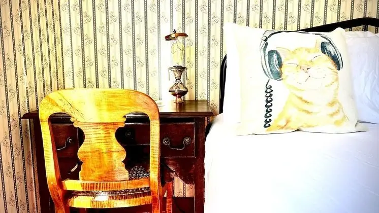 Superior Tek Kişilik Oda, 1 En Büyük (King) Boy Yatak