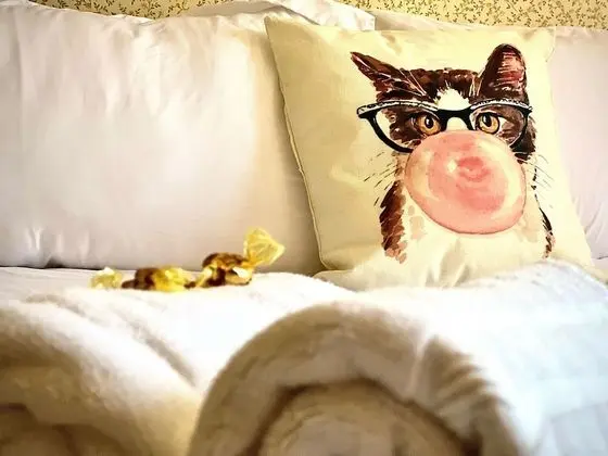 Superior Tek Kişilik Oda, 1 En Büyük (King) Boy Yatak