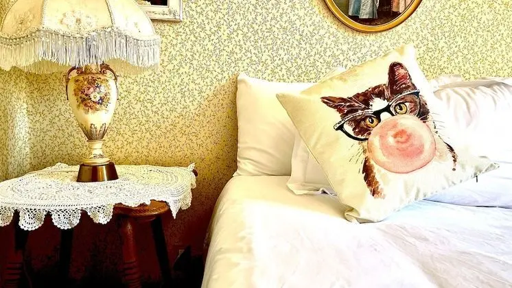 Superior Tek Kişilik Oda, 1 En Büyük (King) Boy Yatak