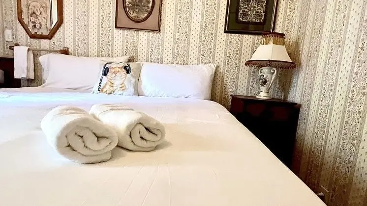 Traditional Tek Kişilik Oda, 1 En Büyük (King) Boy Yatak