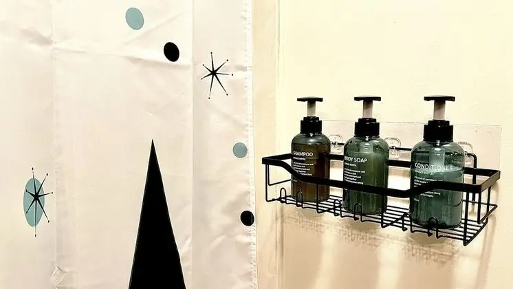 Traditional Tek Kişilik Oda, 1 En Büyük (King) Boy Yatak