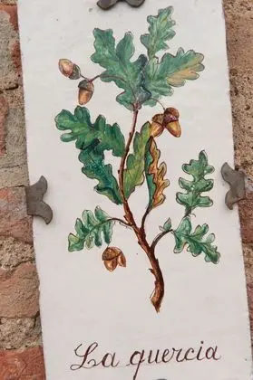 Luxury Apart Daire, 2 Yatak Odası (Melo)