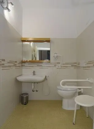 Standard Tek Büyük Yataklı Oda, Engellilere Uygun