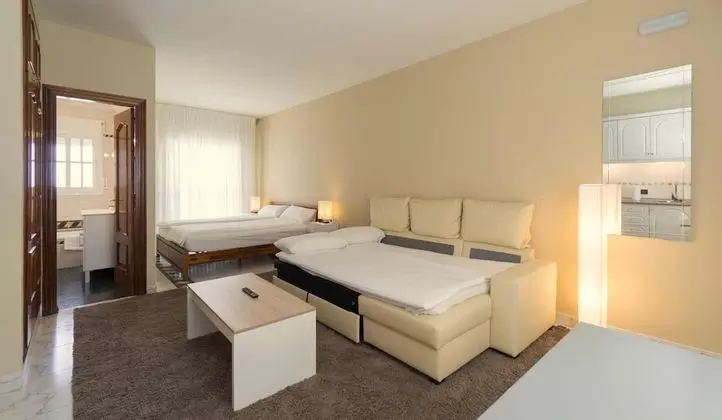 Deluxe Stüdyo, 1 En Büyük (King) Boy Yatak ve Çekyat