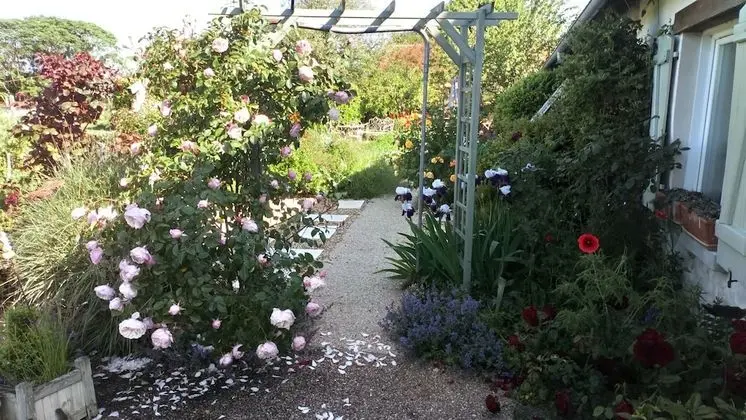 Classic Tek Büyük Yataklı Oda, Banyolu/Duşlu (Le Jardin)