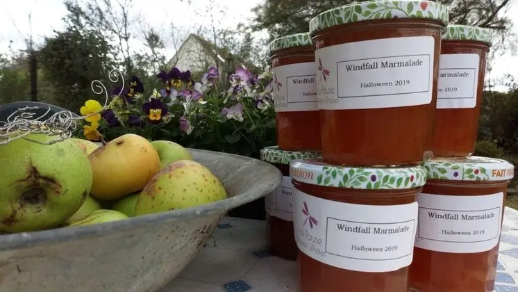 Superior Tek Büyük Yataklı Oda, Banyolu/Duşlu (Les Etoiles)