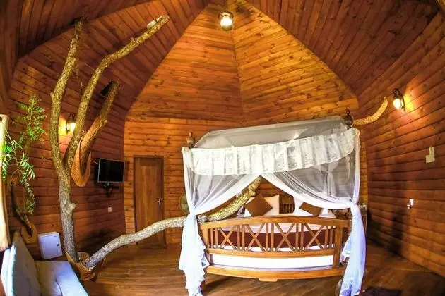 Deluxe Ağaç Ev
