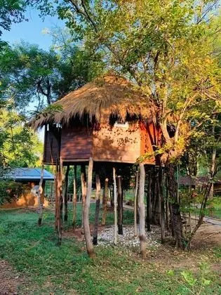 Ev, Göl Manzaralı (Tree House)