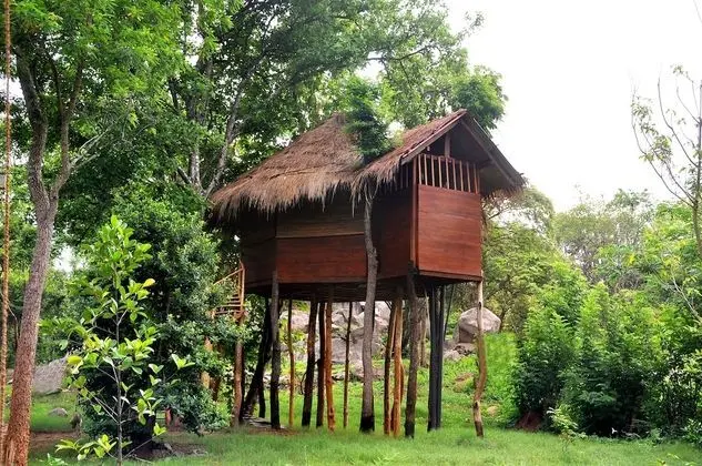 Ev, Göl Manzaralı (Tree House)